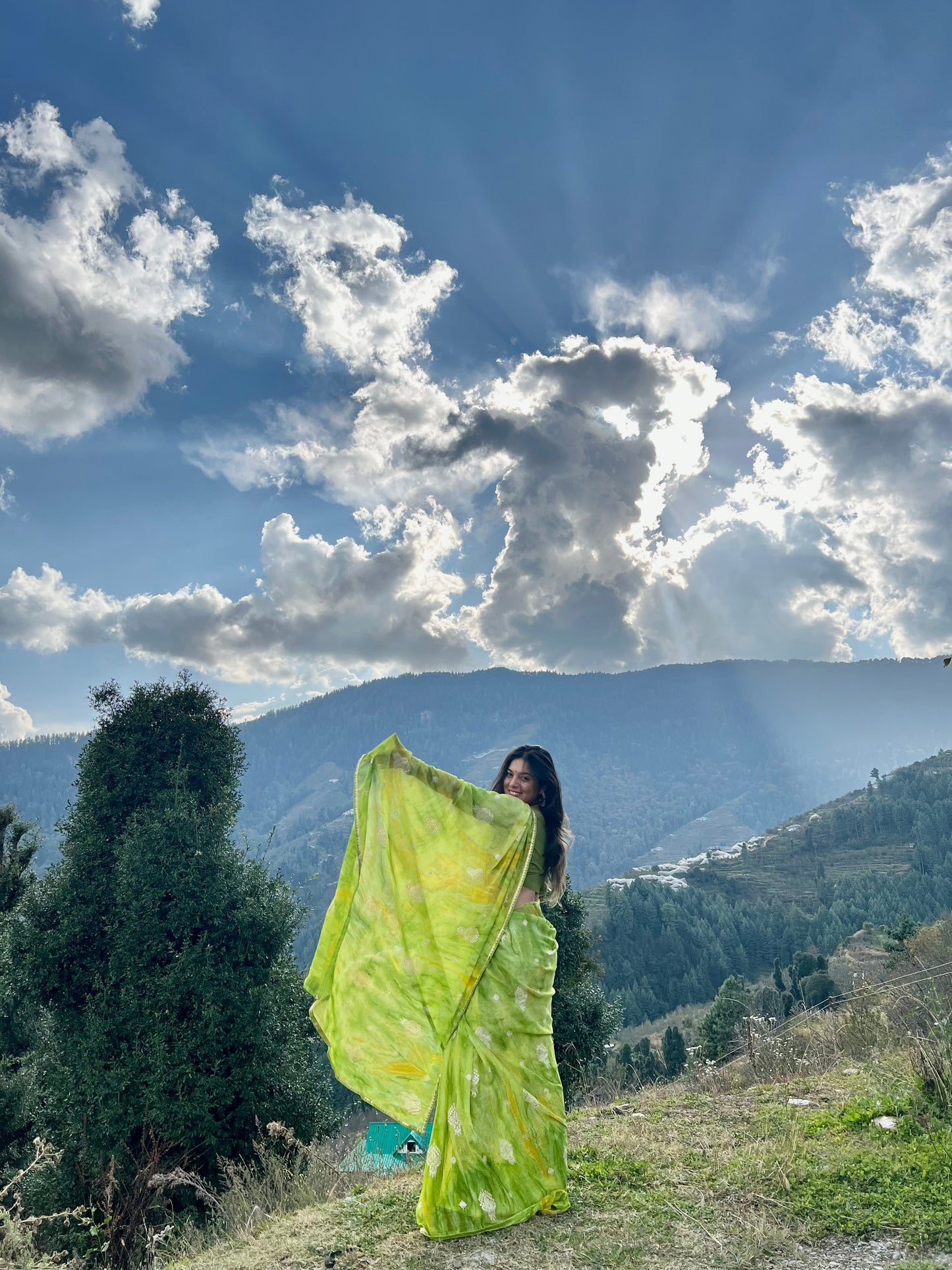 Parrot Green Chiffon Saree