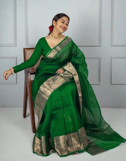 Green Organza Saree