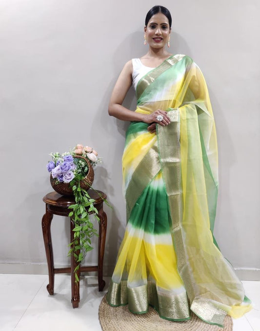 Green Organza Printed Saree