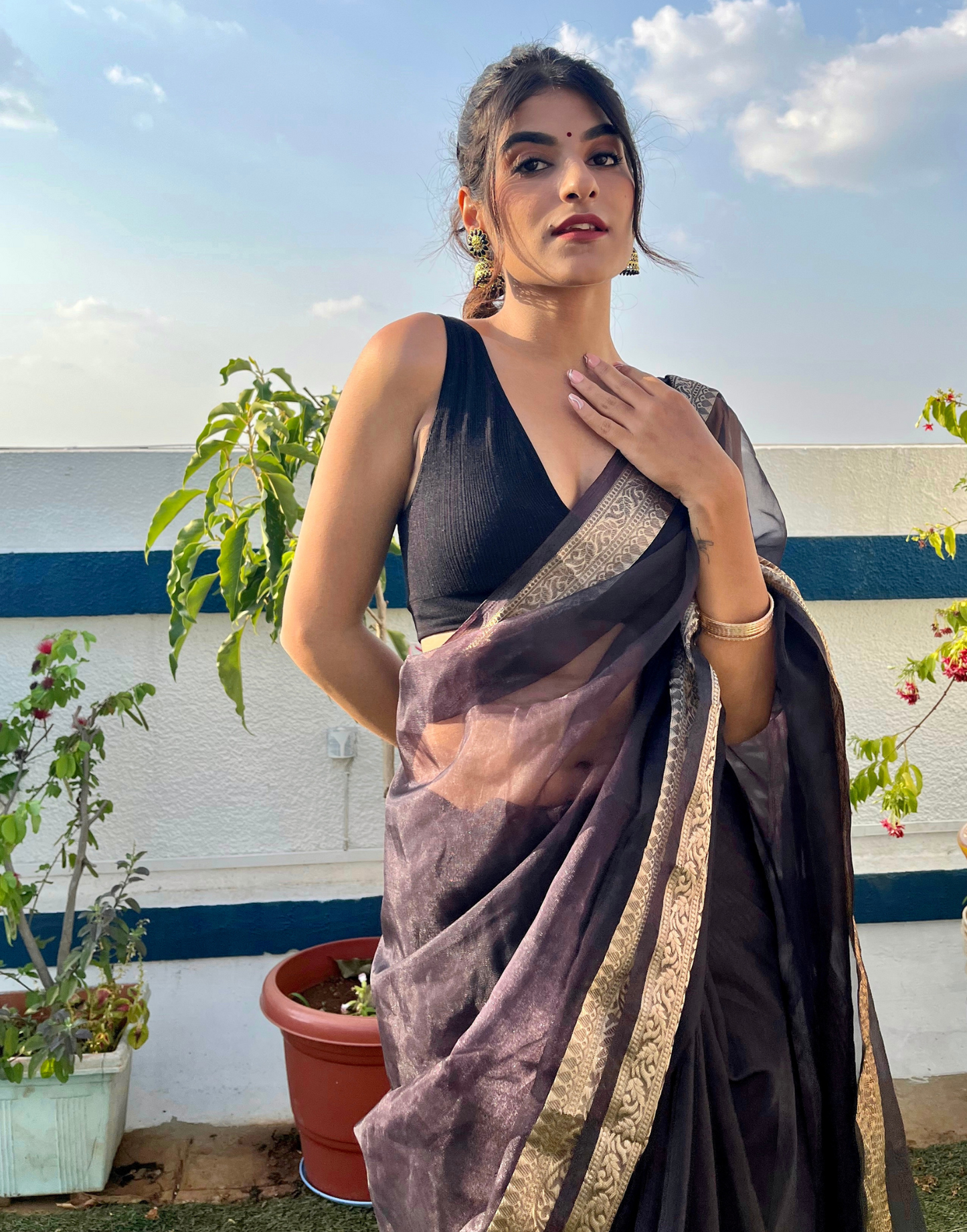 Black Organza Saree