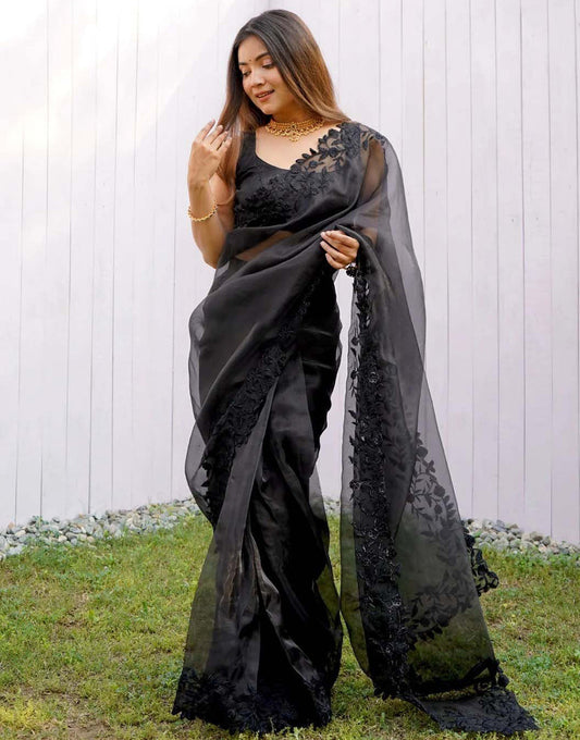 Black Organza With Embroidery Thread & Cut Work Saree