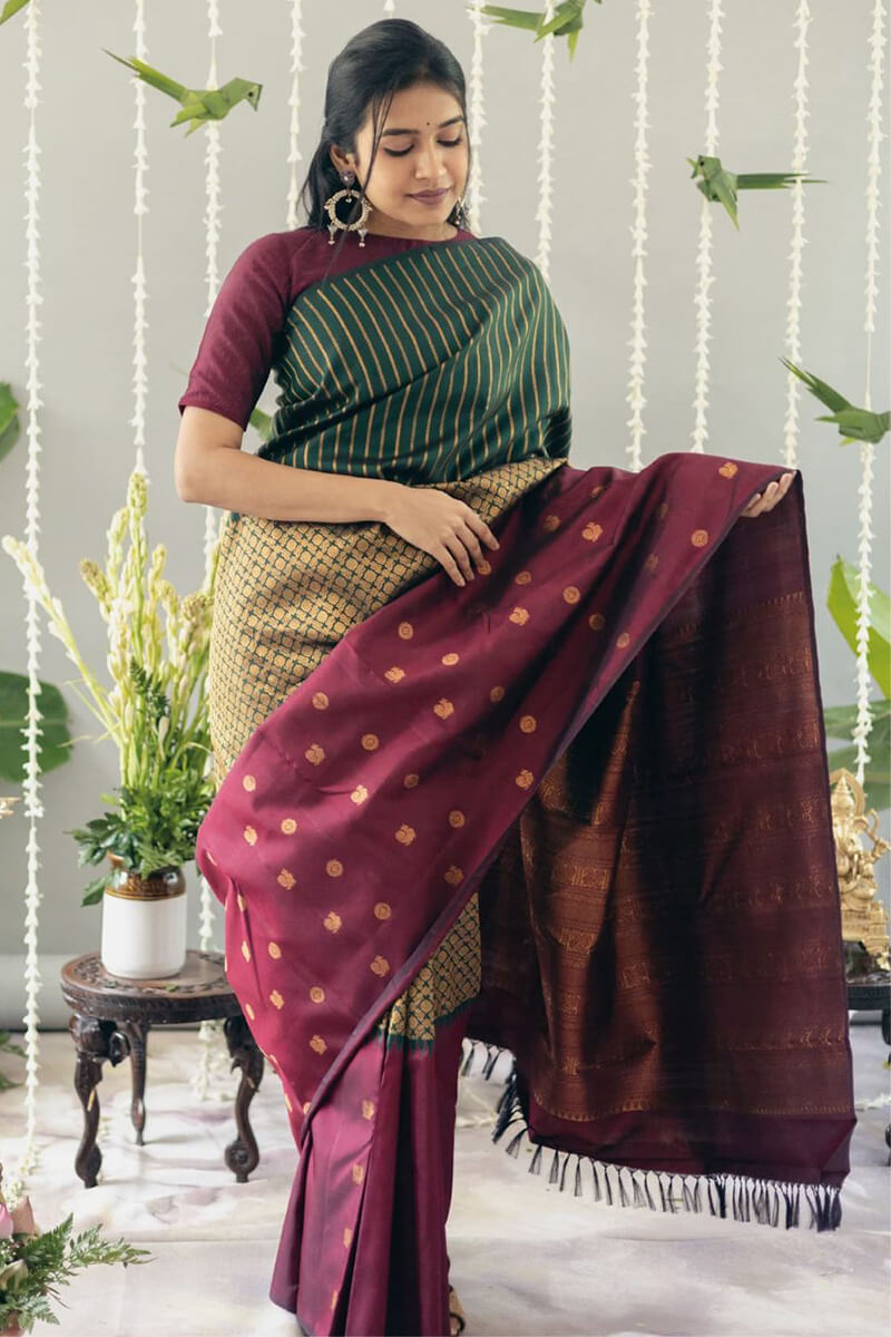 Gratifying Wine Soft Silk Saree With Imaginative Blouse Pieced