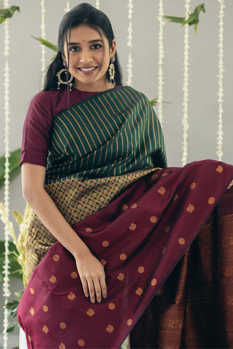 Gratifying Wine Soft Silk Saree With Imaginative Blouse Pieced