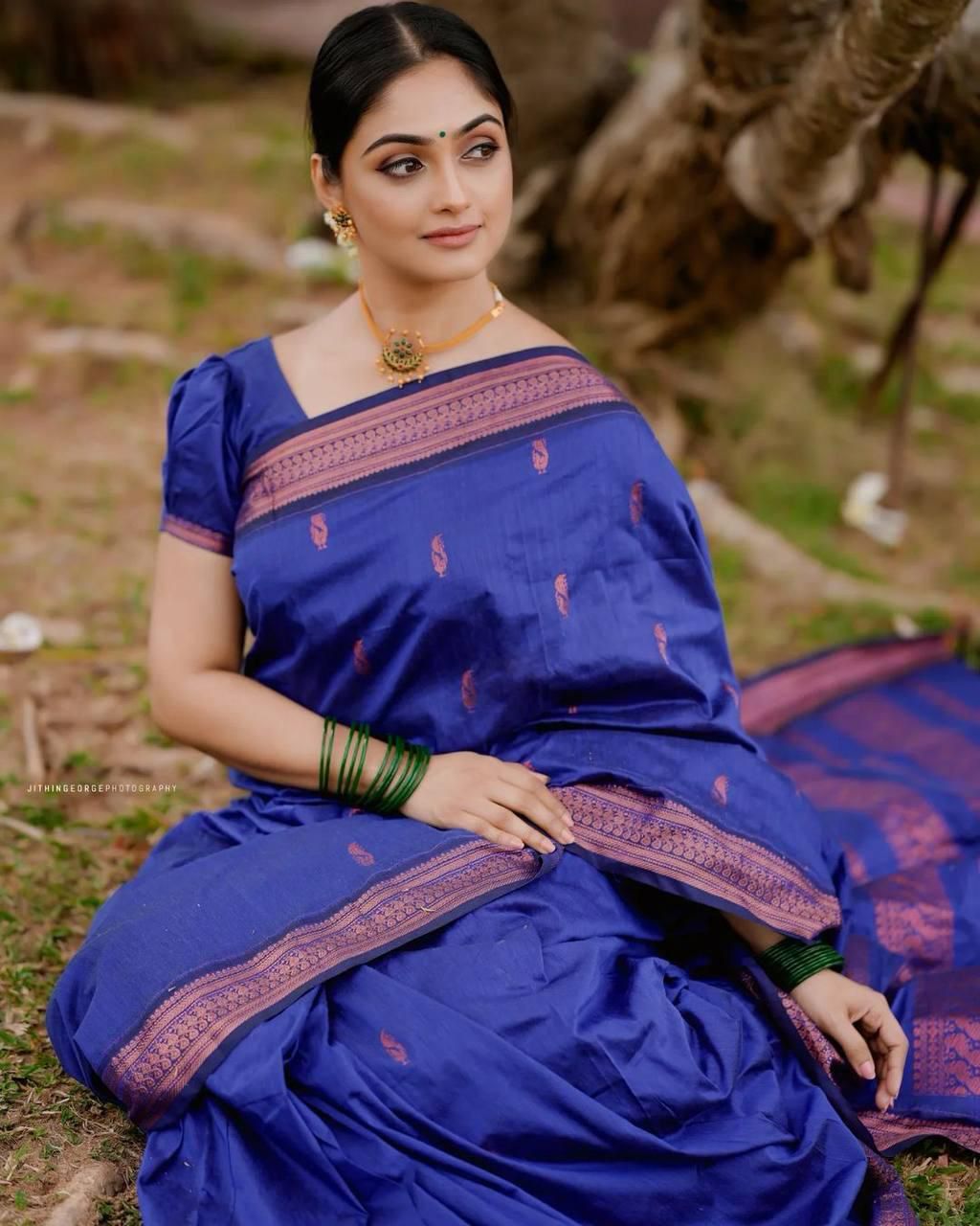 Adorable Royal Blue Soft Silk Saree With Charming Blouse Piece