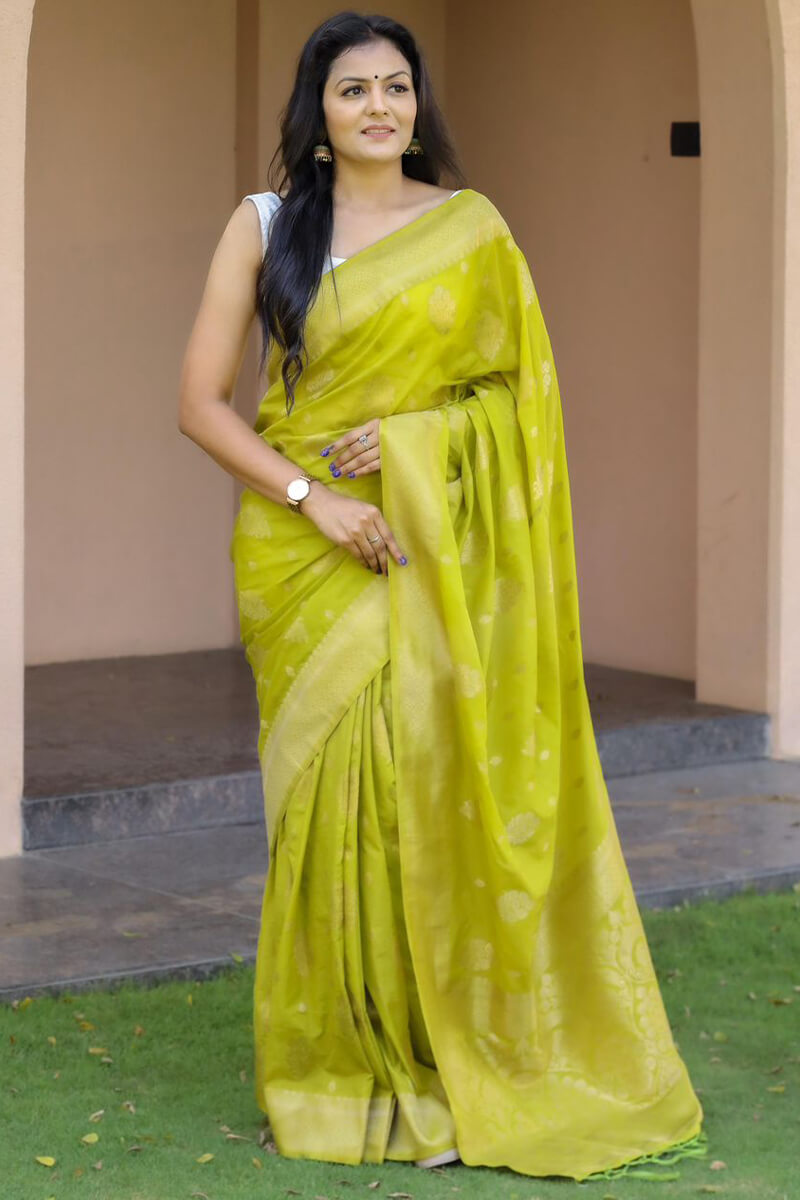 Inspiring Mehndi Soft Silk Banarasi Saree With Gossamer Blouse Piece