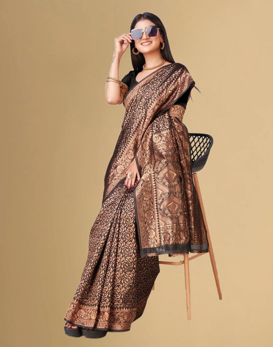 Black Jacquard Banarasi Silk Saree