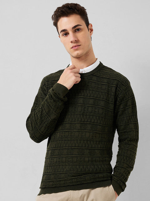 Park Avenue Men Green Solid Regular Cotton Sweater