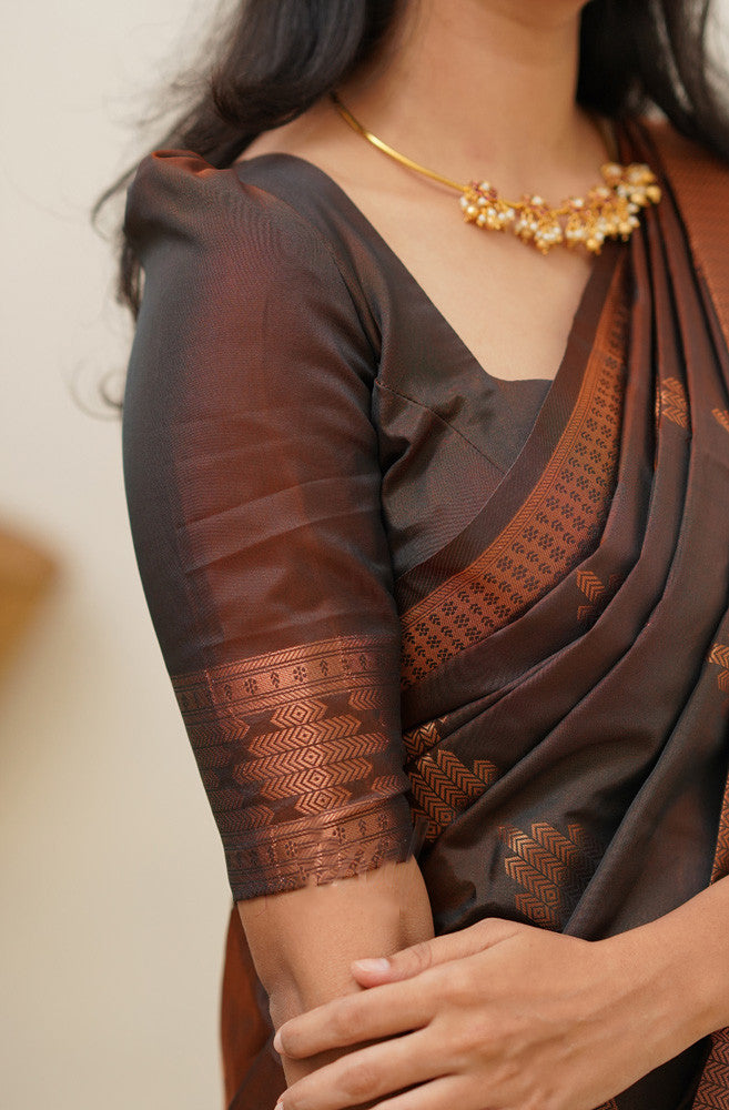 Adorning Brown Soft Silk Saree With Gratifying Blouse Piece