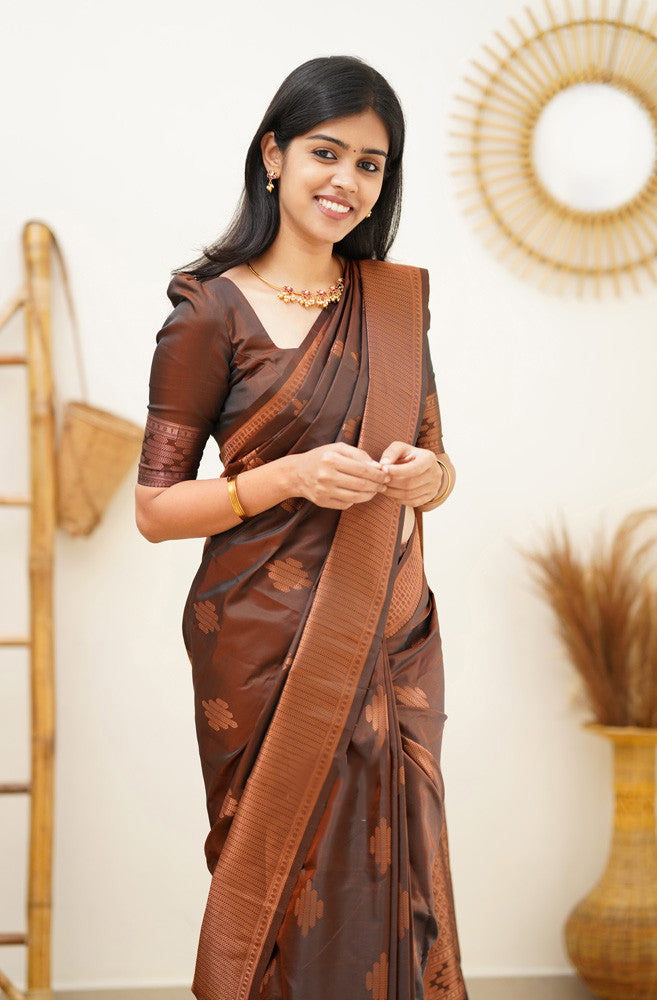 Adorning Brown Soft Silk Saree With Gratifying Blouse Piece