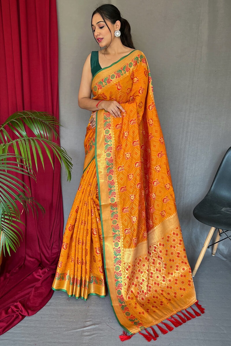 Embrocation Orange Patola Silk Saree with Lagniappe Blouse Piece